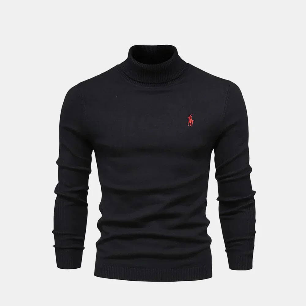 Turtleneck Wool Knit Sweater