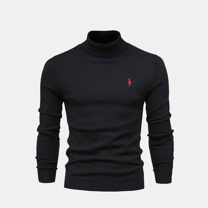 Turtleneck Wool Knit Sweater